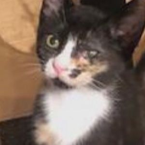 Meet your Posher, Kyla